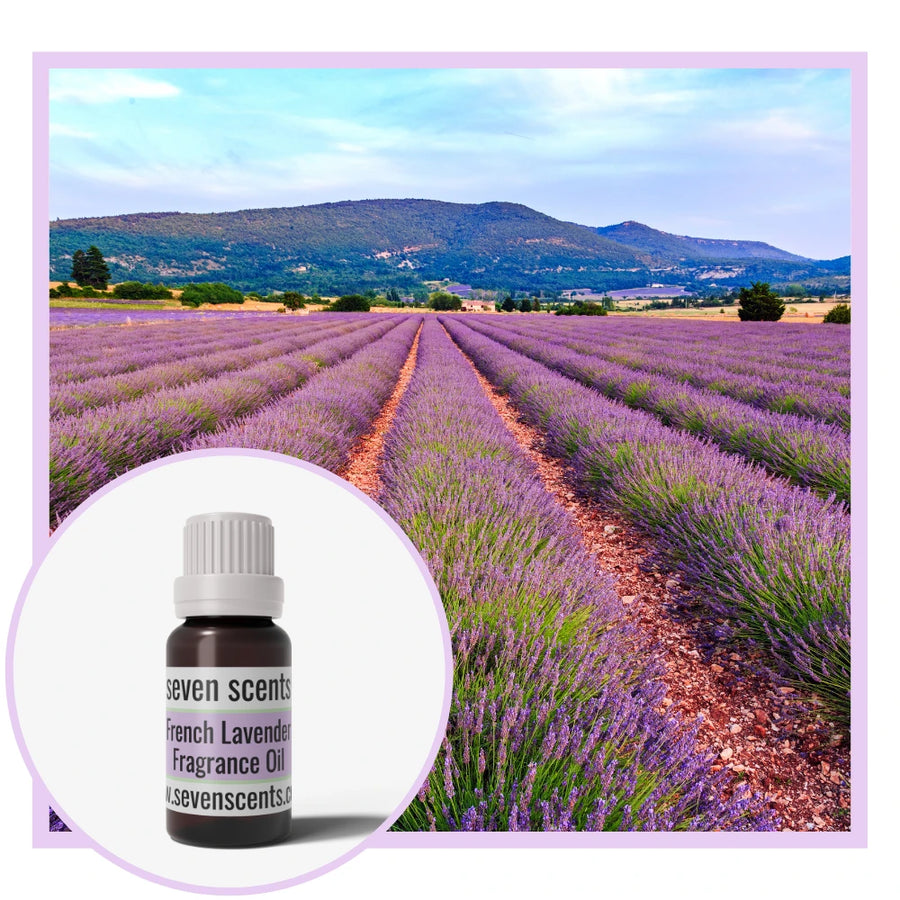 French Lavender fragrance oil by Seven Scents with lavender fields