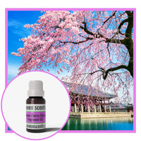 Japanese Cherry Blossom Fragrance Oil with a Cherry Blossom Tree in Japan