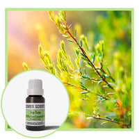 Tea Tree essential oil by Seven Scents with tea tree plant and a blurred background