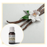 Vanilla bean with a flower and a bottle of Seven Scents Vanilla Bean Fragrance Oil on a light gray background.