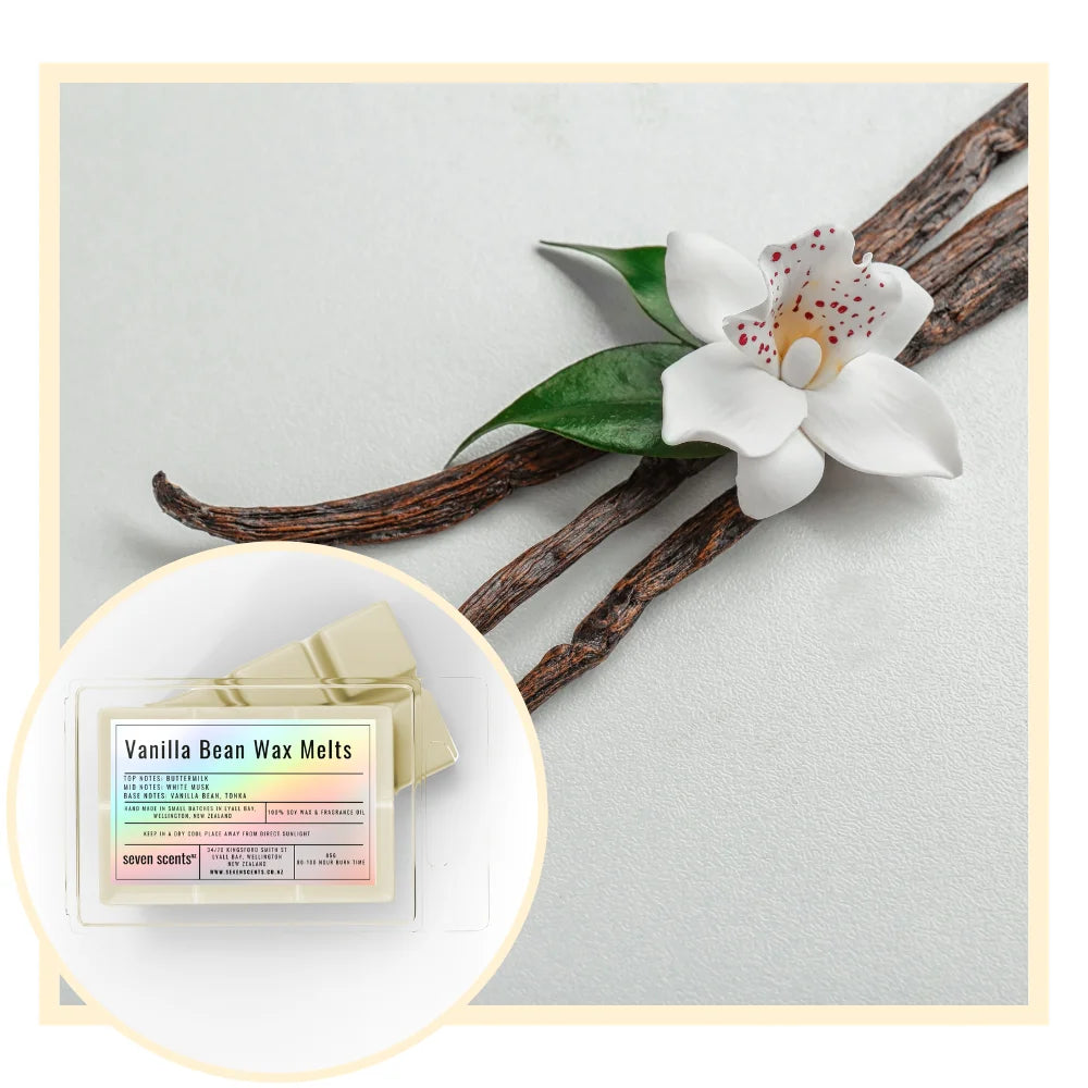 Vanilla bean wax melts with vanilla beans and a flower on a light gray background